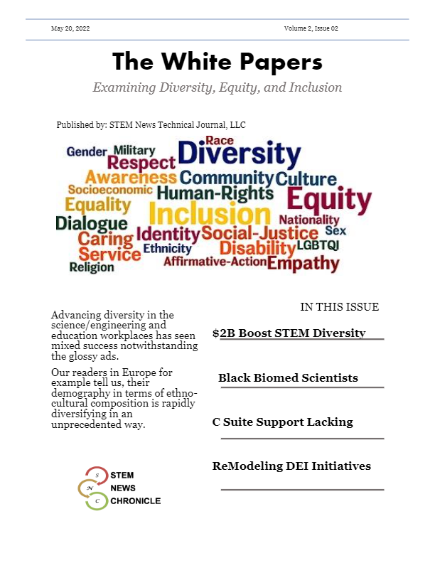 2022 White Paper Issue 02 – DEI